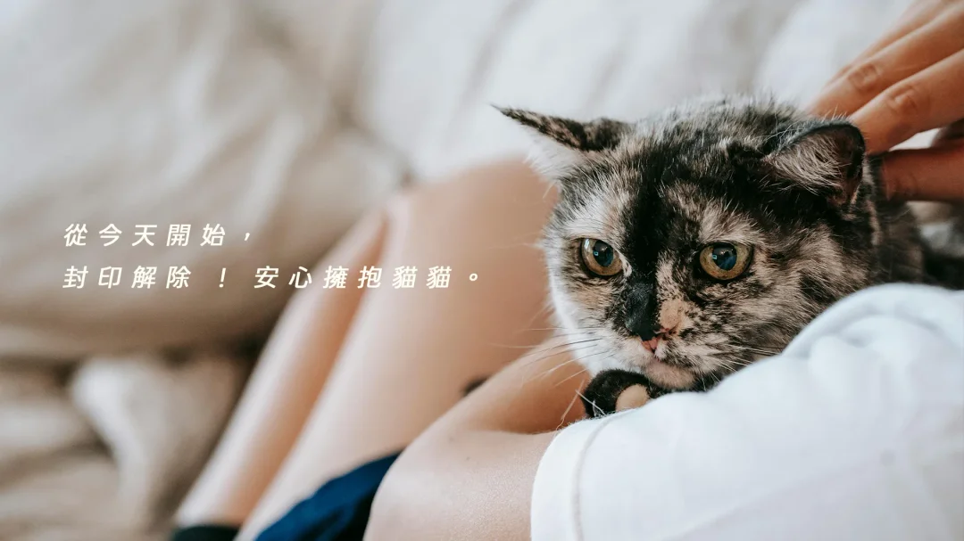 從今天開始封印解處,
